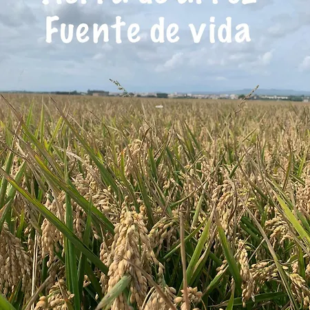 Casa Enric , Con Zona Infantil, Piscina Y Parking Privado デルテブレ